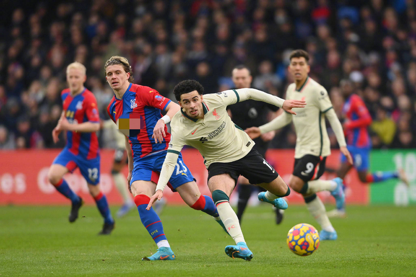 巴斯克傳統 巴斯克傳統